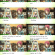 Image for article titled Getting JRPGs Out In English Is Harder Than You Think